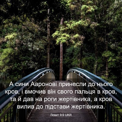 Picture 03 - Левит 9:9 UKR - А сини Ааронові принесли - Bible Verse Picture