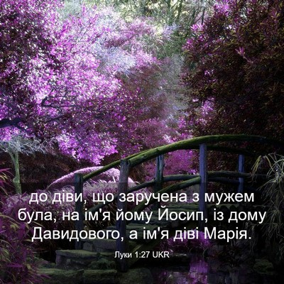 Picture 03 - Луки 1:27 UKR - до діви, що заручена з - Bible Verse Picture