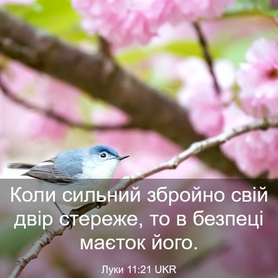 Picture 03 - Луки 11:21 UKR - Коли сильний збройно свій - Bible Verse Picture