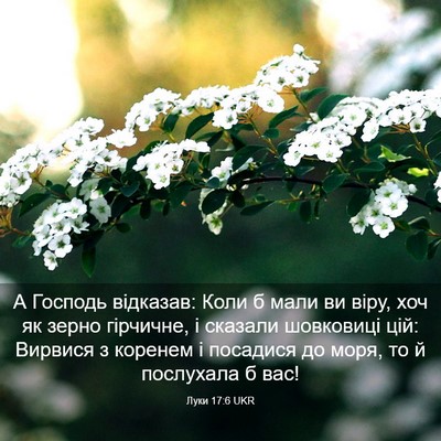 Picture 03 - Луки 17:6 UKR - А Господь відказав: Коли б - Bible Verse Picture