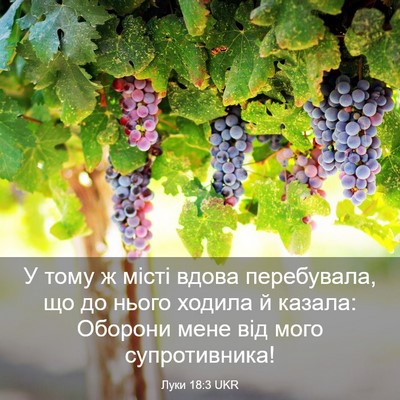 Picture 03 - Луки 18:3 UKR - У тому ж місті вдова - Bible Verse Picture