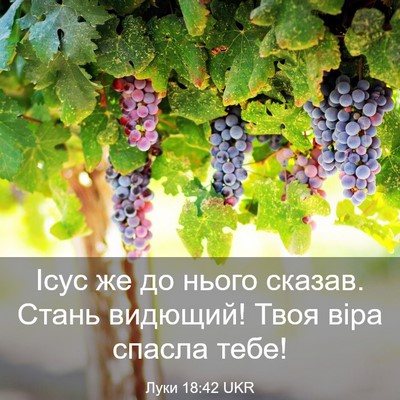 Picture 03 - Луки 18:42 UKR - Ісус же до нього сказав. - Bible Verse Picture