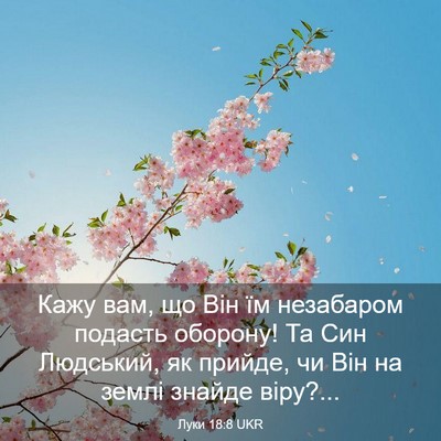 Picture 03 - Луки 18:8 UKR - Кажу вам, що Він їм - Bible Verse Picture