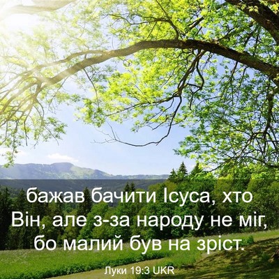 Picture 03 - Луки 19:3 UKR - бажав бачити Ісуса, хто - Bible Verse Picture