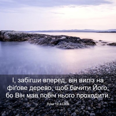 Picture 03 - Луки 19:4 UKR - І, забігши вперед, він - Bible Verse Picture