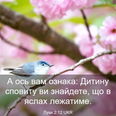 Picture 03 - Луки 2:12 UKR - А ось вам ознака: Дитину - Bible Verse Picture