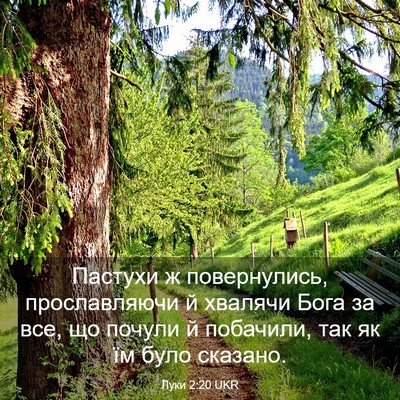 Picture 03 - Луки 2:20 UKR - Пастухи ж повернулись, - Bible Verse Picture