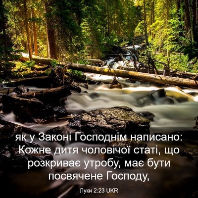 Picture 03 - Луки 2:23 UKR - як у Законі Господнім - Bible Verse Picture