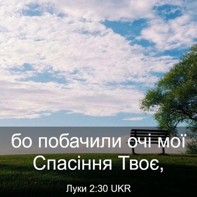 Picture 03 - Луки 2:30 UKR - бо побачили очі мої - Bible Verse Picture