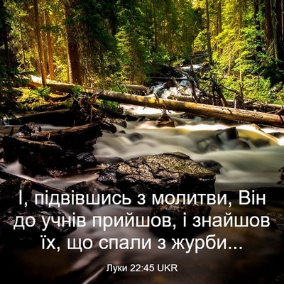 Picture 03 - Луки 22:45 UKR - І, підвівшись з молитви, - Bible Verse Picture