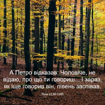 Picture 03 - Луки 22:60 UKR - А Петро відказав: Чоловіче, - Bible Verse Picture