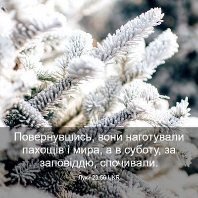 Picture 03 - Луки 23:56 UKR - Повернувшись, вони - Bible Verse Picture