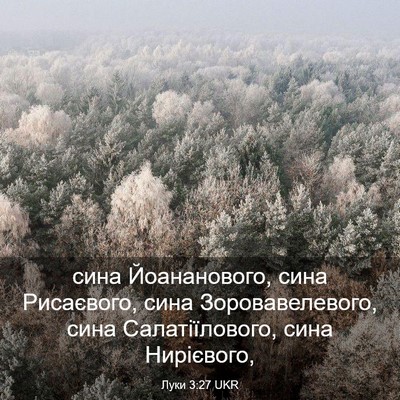 Picture 03 - Луки 3:27 UKR - сина Йоананового, сина - Bible Verse Picture