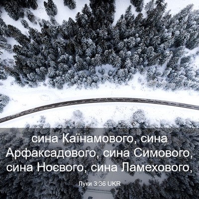 Picture 03 - Луки 3:36 UKR - сина Каїнамового, сина - Bible Verse Picture