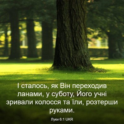 Picture 03 - Луки 6:1 UKR - І сталось, як Він переходив - Bible Verse Picture