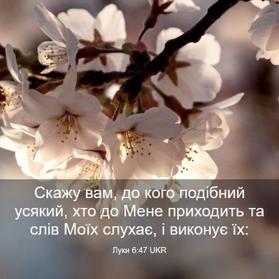 Picture 03 - Луки 6:47 UKR - Скажу вам, до кого подібний - Bible Verse Picture