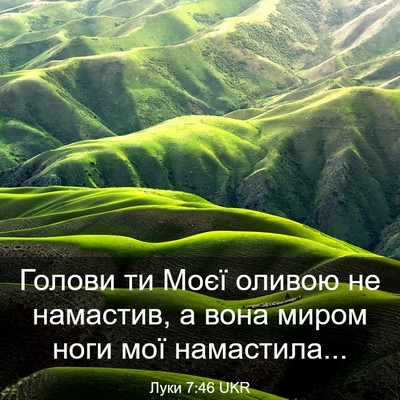 Picture 03 - Луки 7:46 UKR - Голови ти Моєї оливою не - Bible Verse Picture