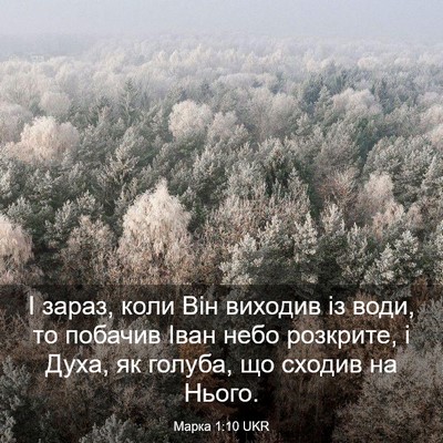 Picture 03 - Марка 1:10 UKR - І зараз, коли Він виходив - Bible Verse Picture