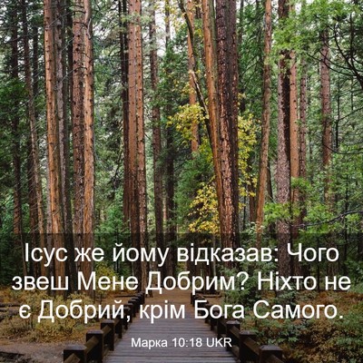 Picture 03 - Марка 10:18 UKR - Ісус же йому відказав: Чого - Bible Verse Picture