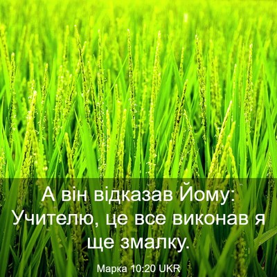 Picture 03 - Марка 10:20 UKR - А він відказав Йому: - Bible Verse Picture