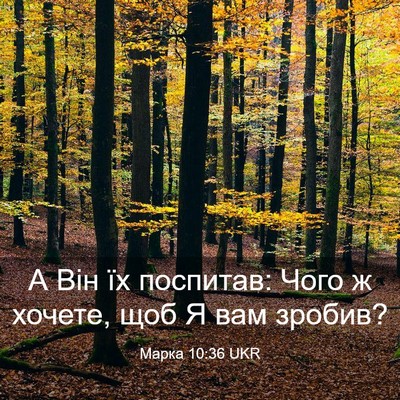 Picture 03 - Марка 10:36 UKR - А Він їх поспитав: Чого ж - Bible Verse Picture