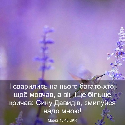 Picture 03 - Марка 10:48 UKR - І сварились на нього - Bible Verse Picture