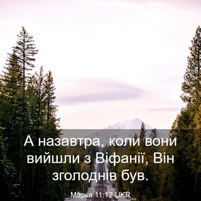 Picture 03 - Марка 11:12 UKR - А назавтра, коли вони - Bible Verse Picture