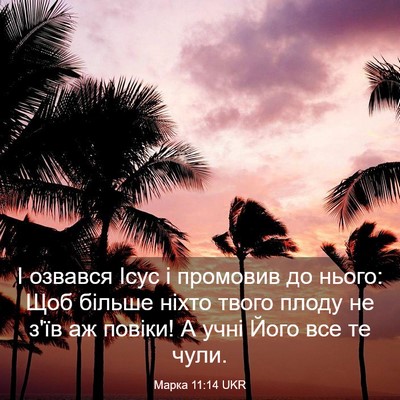 Picture 03 - Марка 11:14 UKR - І озвався Ісус і промовив - Bible Verse Picture