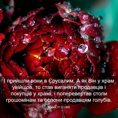 Picture 03 - Марка 11:15 UKR - І прийшли вони в Єрусалим. - Bible Verse Picture