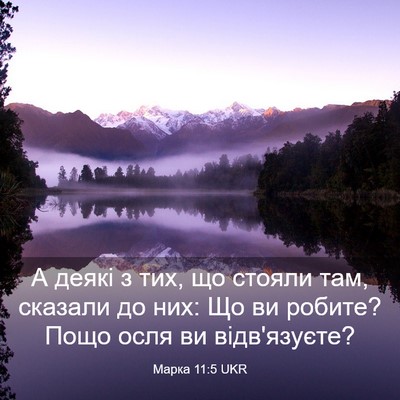 Picture 03 - Марка 11:5 UKR - А деякі з тих, що стояли - Bible Verse Picture