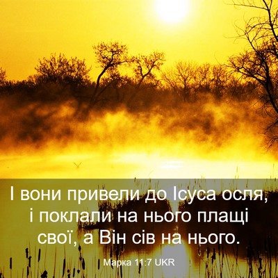 Picture 03 - Марка 11:7 UKR - І вони привели до Ісуса - Bible Verse Picture