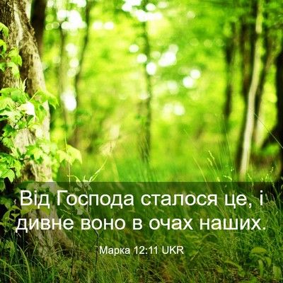 Picture 03 - Марка 12:11 UKR - Від Господа сталося це, і - Bible Verse Picture
