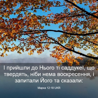 Picture 03 - Марка 12:18 UKR - І прийшли до Нього ті - Bible Verse Picture