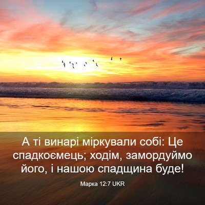 Picture 03 - Марка 12:7 UKR - А ті винарі міркували собі: - Bible Verse Picture