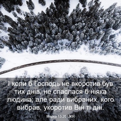 Picture 03 - Марка 13:20 UKR - І коли б Господь не - Bible Verse Picture