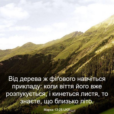 Picture 03 - Марка 13:28 UKR - Від дерева ж фіґового - Bible Verse Picture