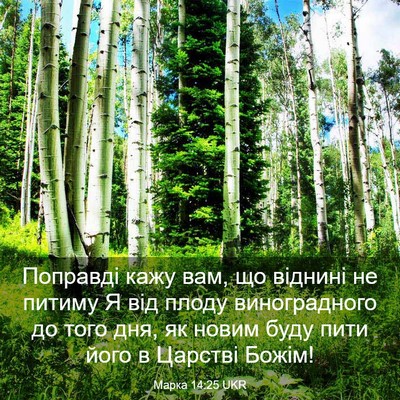 Picture 03 - Марка 14:25 UKR - Поправді кажу вам, що - Bible Verse Picture