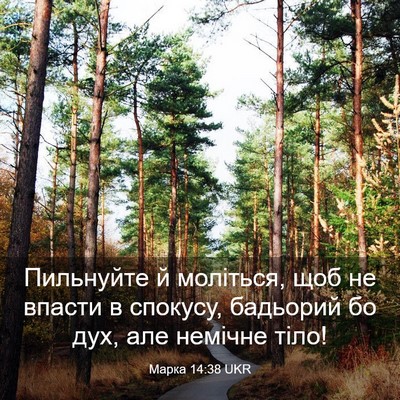 Picture 03 - Марка 14:38 UKR - Пильнуйте й моліться, щоб - Bible Verse Picture