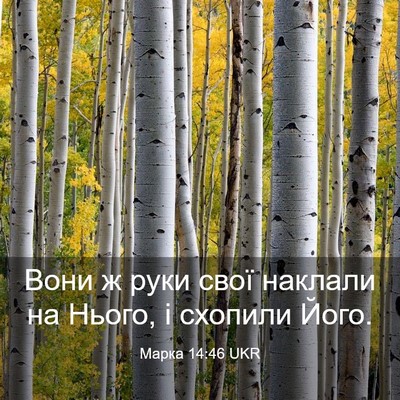 Picture 03 - Марка 14:46 UKR - Вони ж руки свої наклали на - Bible Verse Picture
