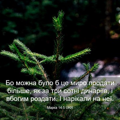 Picture 03 - Марка 14:5 UKR - Бо можна було б це миро - Bible Verse Picture