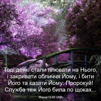 Picture 03 - Марка 14:65 UKR - Тоді деякі стали плювати - Bible Verse Picture