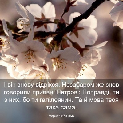 Picture 03 - Марка 14:70 UKR - І він знову відрікся. - Bible Verse Picture
