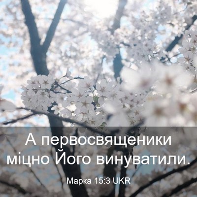 Picture 03 - Марка 15:3 UKR - А первосвященики міцно - Bible Verse Picture