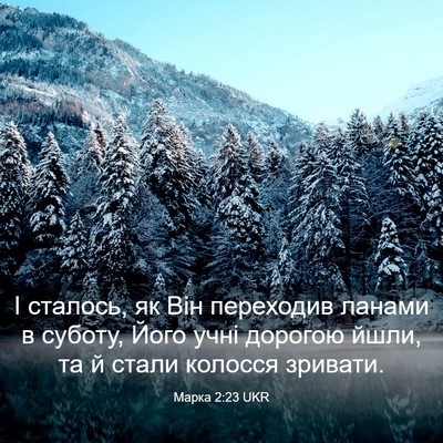Picture 03 - Марка 2:23 UKR - І сталось, як Він переходив - Bible Verse Picture
