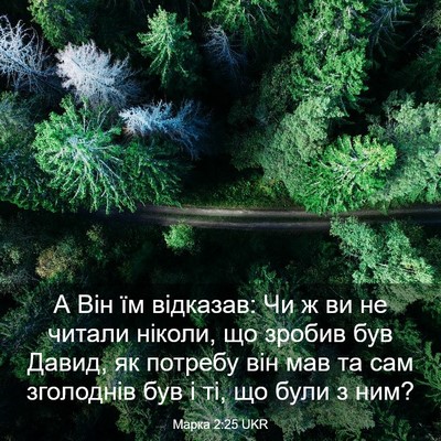 Picture 03 - Марка 2:25 UKR - А Він їм відказав: Чи ж ви - Bible Verse Picture