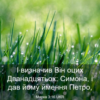 Picture 03 - Марка 3:16 UKR - І визначив Він оцих - Bible Verse Picture
