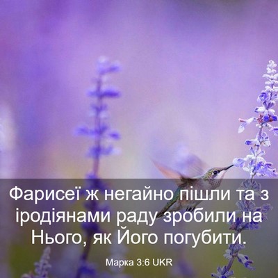 Picture 03 - Марка 3:6 UKR - Фарисеї ж негайно пішли та - Bible Verse Picture