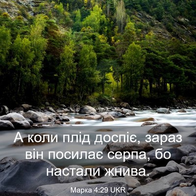Picture 03 - Марка 4:29 UKR - А коли плід доспіє, зараз - Bible Verse Picture