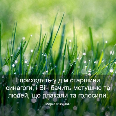 Picture 03 - Марка 5:38 UKR - І приходять у дім старшини - Bible Verse Picture