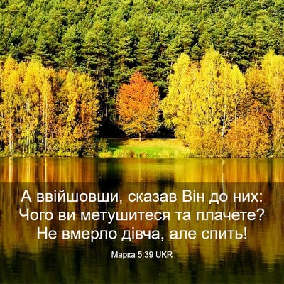 Picture 03 - Марка 5:39 UKR - А ввійшовши, сказав Він до - Bible Verse Picture